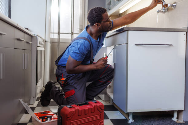 Best Water Softener Installation  in Aldan, PA